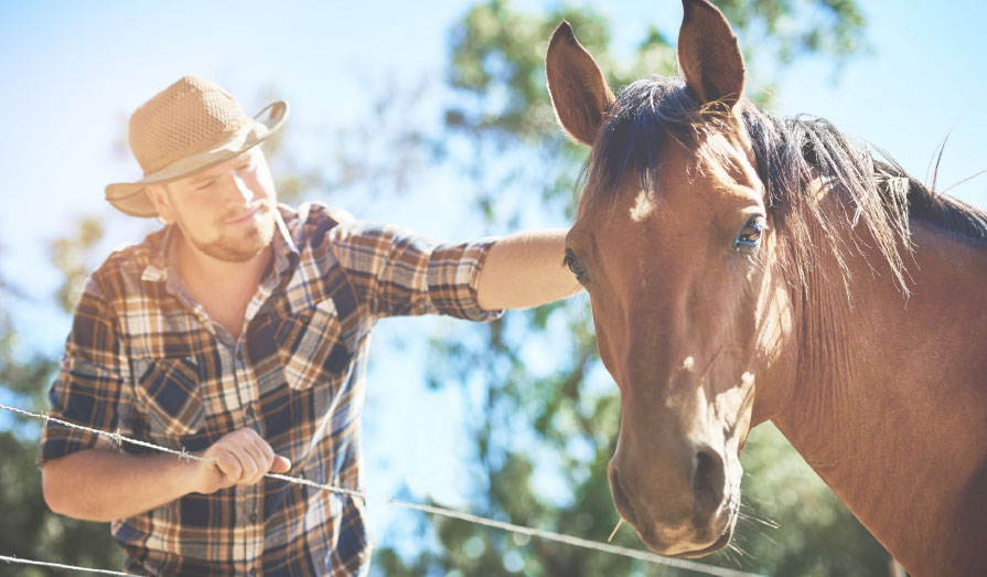 A man wearing a hat gently pets a horse, showcasing a moment of connection between human and animal.